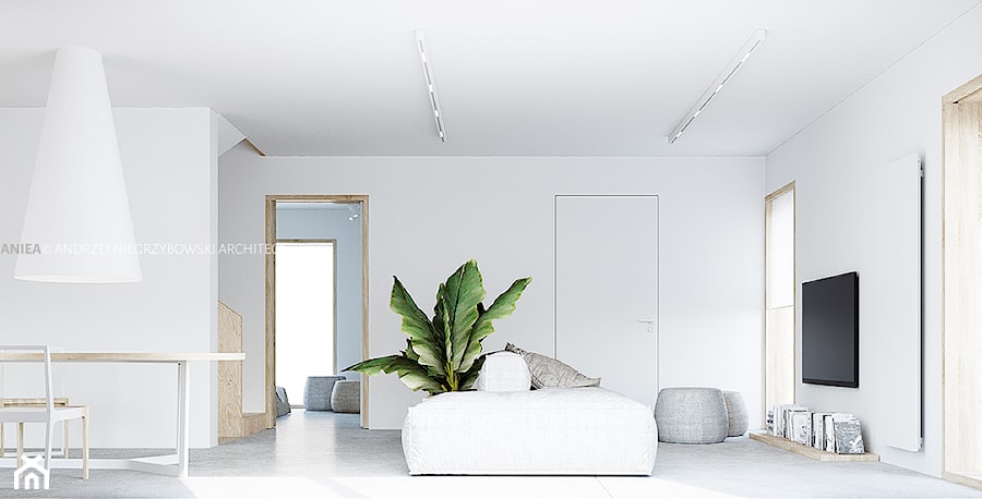 Metamorfoza wnętrza domu typu kostka - Salon, styl minimalistyczny - zdjęcie od ANIEA