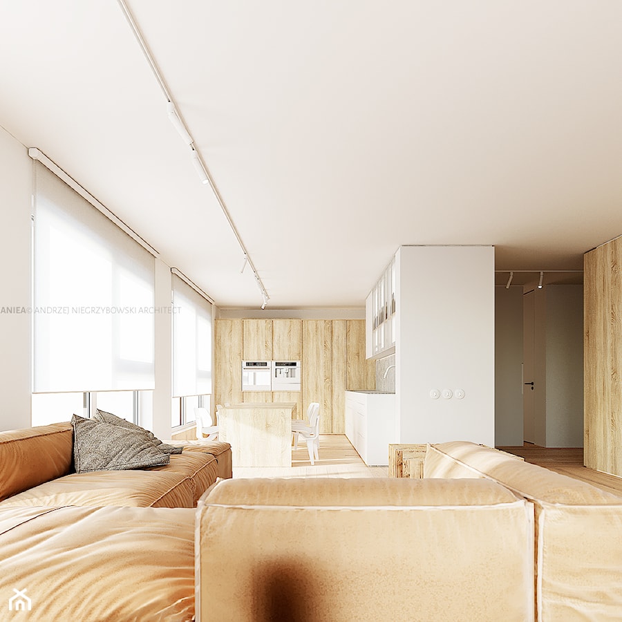 Penthouse dla dwójki z kotem - Salon, styl minimalistyczny - zdjęcie od ANIEA