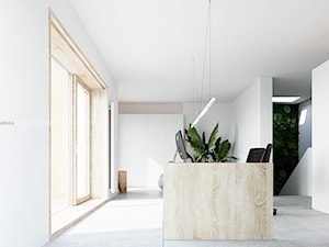 Metamorfoza wnętrza domu typu kostka - Biuro, styl minimalistyczny - zdjęcie od ANIEA