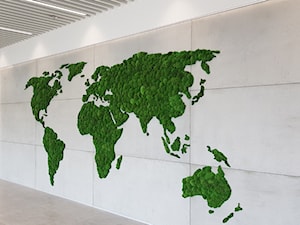 Ściana z mchu - zdjęcie od zieloneone