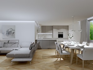 kuchnia w jasnej szarości - Salon, styl nowoczesny - zdjęcie od Plan Design projektowanie wnętrz online