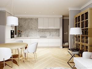 mieszkanie w kamienicy - Kuchnia - zdjęcie od Plan Design projektowanie wnętrz online
