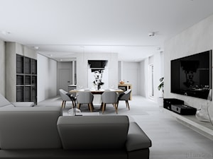 projekt wnętrza domu nowoczesnego - Salon, styl nowoczesny - zdjęcie od Plan Design projektowanie wnętrz online