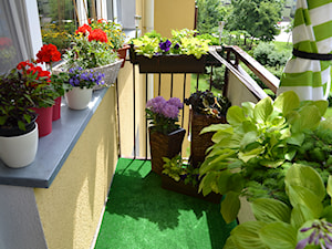 Balkon pełen koloru i ciepła - zdjęcie od Małgorzata Marciniak-Banach