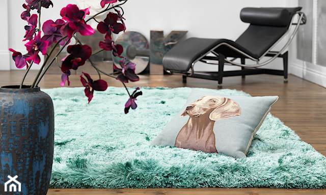 nowoczesny salon z dywanem typu shaggy