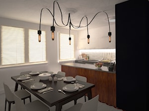 Mieszkanie_12 - Kuchnia, styl nowoczesny - zdjęcie od ana frasik