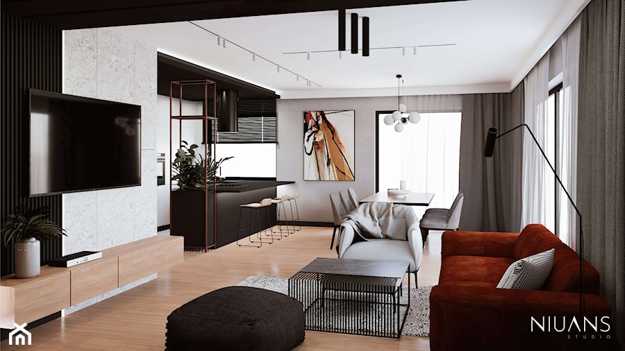 Nowoczesny salon z rudą sofą - zdjęcie od Projekty Wnętrz | NIUANS STUDIO