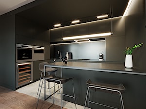Męskie Mieszkanie - Kuchnia, styl nowoczesny - zdjęcie od Studio Fi
