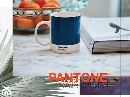 Aranżacje wnętrz - Jadalnia: kubek 375 ml PANTONE classic blue COPENHAGEN.DESIGN coy2020 - mantecodesign.pl. Przeglądaj, dodawaj i zapisuj najlepsze zdjęcia, pomysły i inspiracje designerskie. W bazie mamy już prawie milion fotografii!