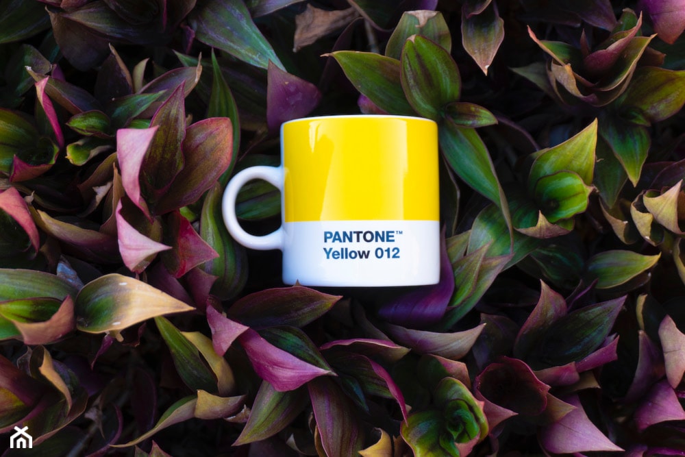 Oryginalne produkty PANTONE ! - zdjęcie od mantecodesign.pl - Homebook