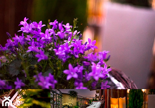 W poszukiwaniu ciszy i spokoju w miejskiej dżungli - Średni z meblami ogrodowymi z donicami na kwiaty taras - zdjęcie od Anna Drab 3