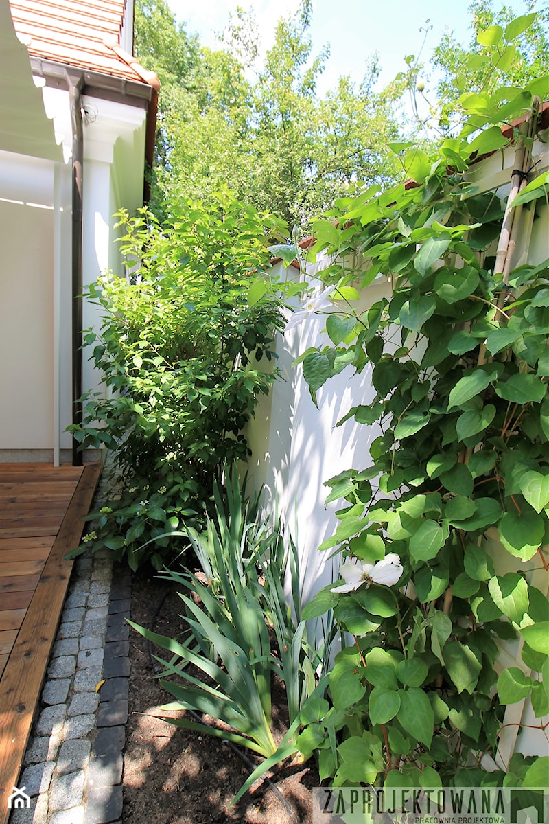 Prywatny ogród w barwach zieleni i bieli. - Mały z nawierzchnią pokrytą kostką brukową ogród tropikalny za domem - zdjęcie od ZAPROJEKTOWANA