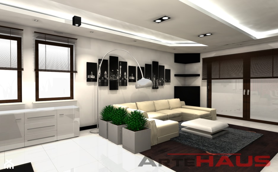 Projekt biało - czarnego salonu - zdjęcie od Projektowanie Wnętrz ArteHAUS - Homebook