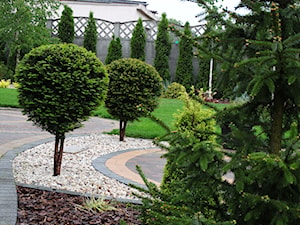 Brzozowy zakątek - Średni z nawierzchnią pokrytą kostką brukową ogród za domem - zdjęcie od Angelika Murek