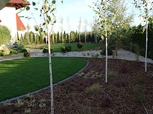 Brzozowy zakątek - Średni ogród za domem - zdjęcie od Angelika Murek