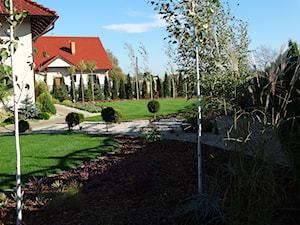 Brzozowy zakątek - Duży ogród za domem - zdjęcie od Angelika Murek