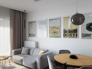 Męskie sprawy - Apartament w Warszawie - Salon, styl nowoczesny - zdjęcie od IDEALS . Marta Jaślan Interiors
