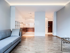 Dla Dwojga / 55 metrów - Salon, styl nowoczesny - zdjęcie od Perfect Space Interior Design & Construction