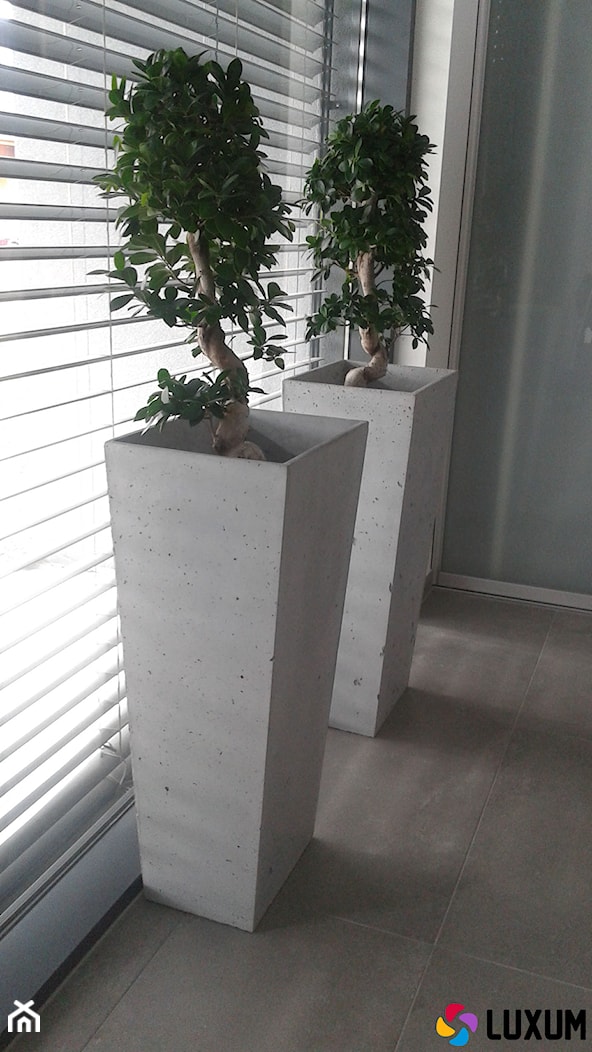 Donice z betonu architektonicznego - zdjęcie od Luxum - Homebook