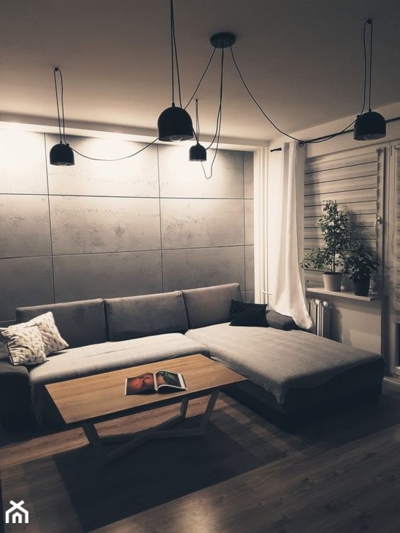 Aranżacja salonu z płytami betonowymi - zdjęcie od Luxum - Homebook