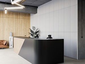 Białe płyty betonowe Nivolet - Wnętrza publiczne, styl industrialny - zdjęcie od Luxum