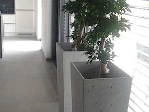 Donice z betonu architektonicznego - zdjęcie od Luxum