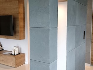 Designerskie mieszkanie z okładziną z betonu architektonicznego. - Salon, styl nowoczesny - zdjęcie od Luxum