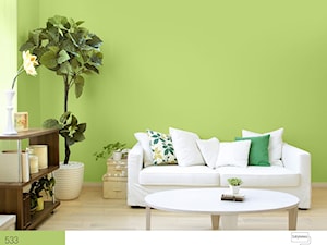 Aranżacje - Średni zielony salon, styl minimalistyczny - zdjęcie od Śnieżka