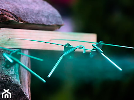 Aranżacje wnętrz - : - Śnieżka. Przeglądaj, dodawaj i zapisuj najlepsze zdjęcia, pomysły i inspiracje designerskie. W bazie mamy już prawie milion fotografii!