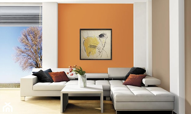 pomarańczowa ściana w salonie, pomarańczowa ściana, kolory w salonie