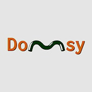 Domsy