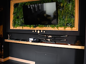 Ścianka telewizyjna - zdjęcie od EMKU