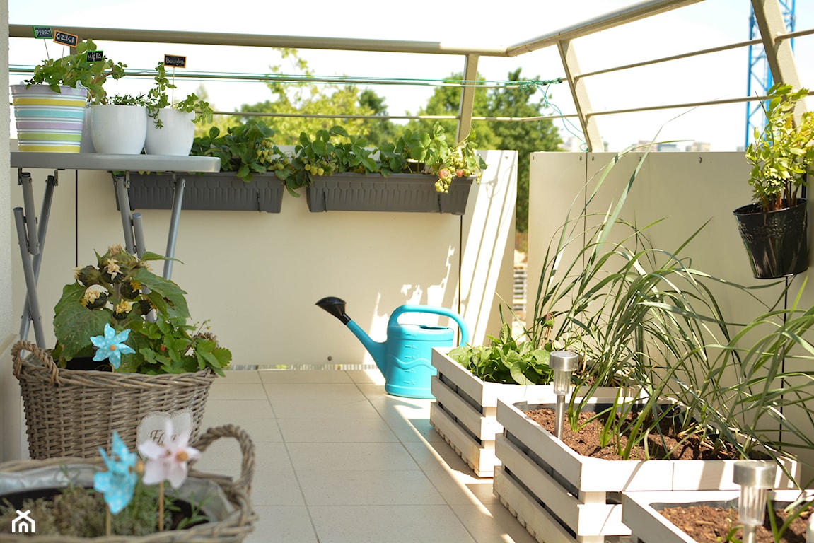 Jak urządzić ogród na balkonie