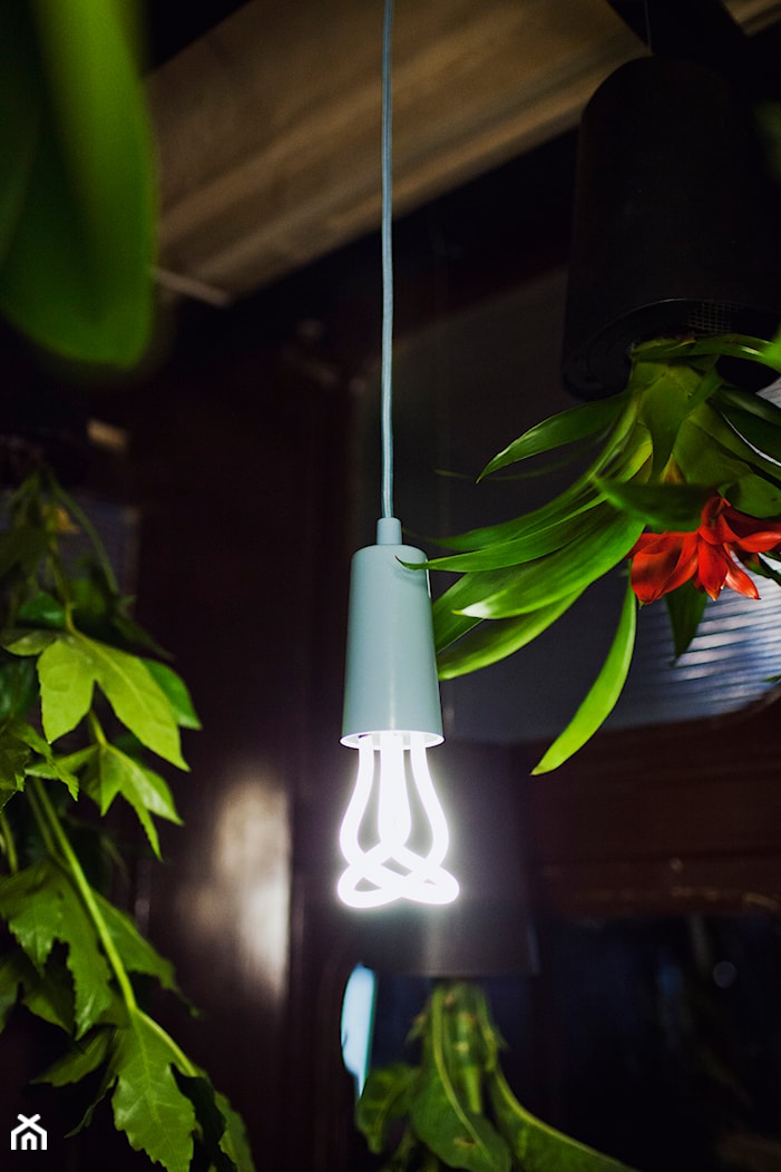 OPRAWA DO LAMPY WISZĄCEJ BŁĘKITNA - PLUMEN - zdjęcie od Decodore - Homebook