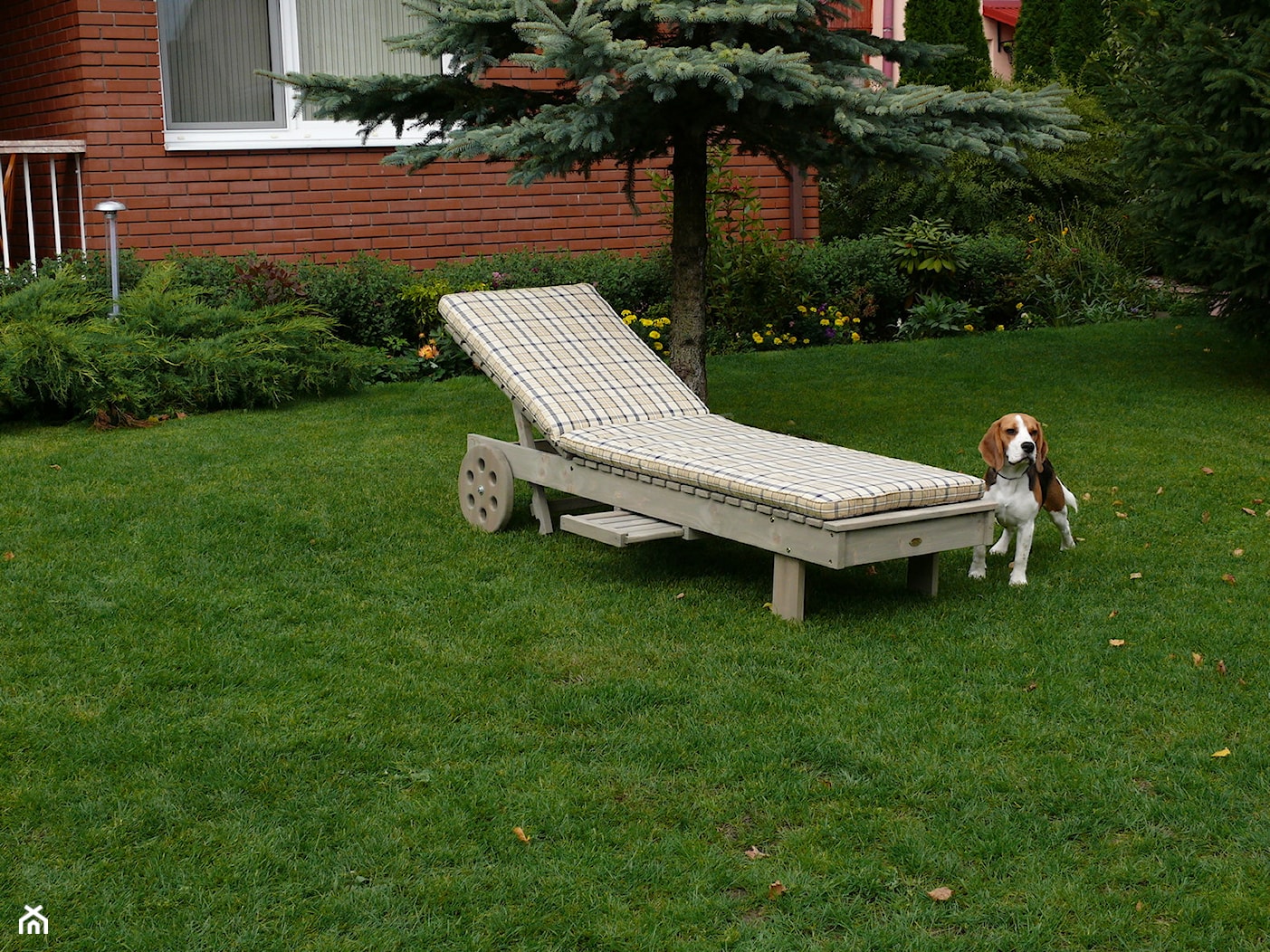 Drewniany leżak ogrodowy - zdjęcie od Deco-Taras - Homebook