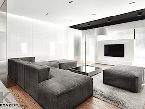 Rzeszotary - Duży biały salon, styl minimalistyczny - zdjęcie od KONZEPT Architekci