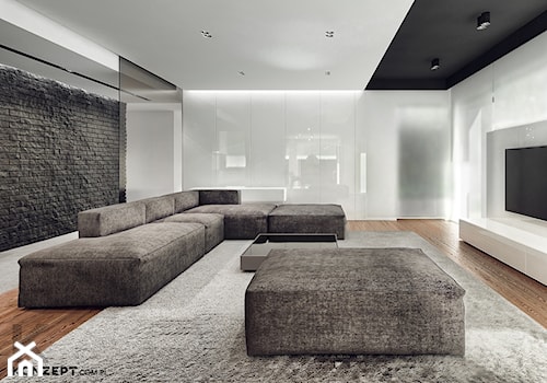 Rzeszotary - Salon, styl minimalistyczny - zdjęcie od KONZEPT Architekci
