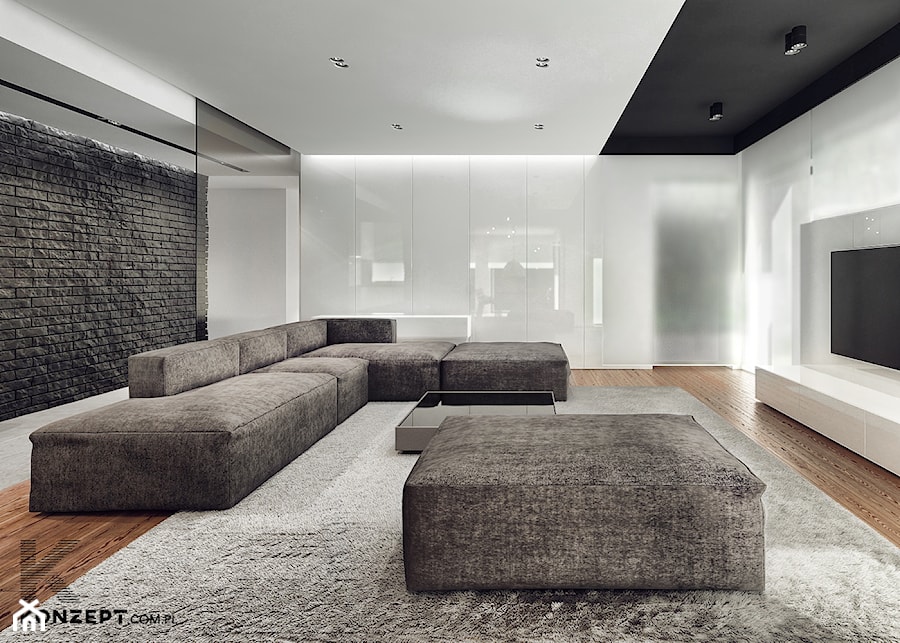Rzeszotary - Salon, styl minimalistyczny - zdjęcie od KONZEPT Architekci