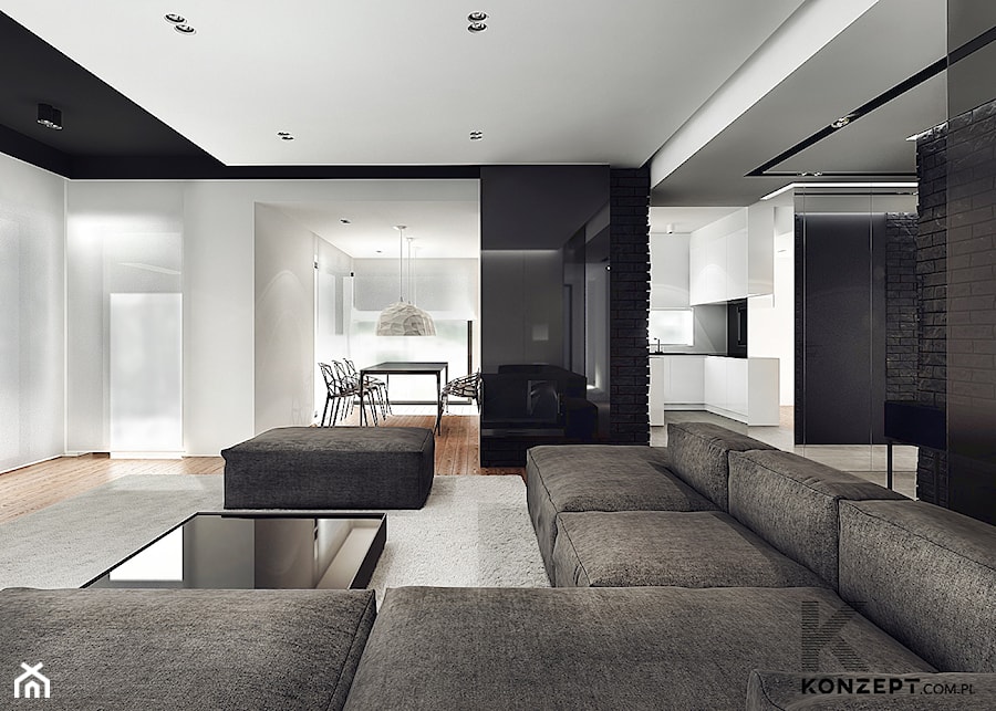 Rzeszotary - Duży salon, styl minimalistyczny - zdjęcie od KONZEPT Architekci