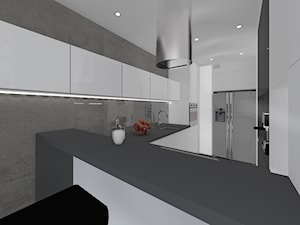 Monochromatyczny apartament 108m2 - Kuchnia, styl minimalistyczny - zdjęcie od Łukasz Milewski Architekt
