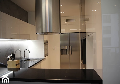 Monochromatyczny apartament 108m2 - Kuchnia, styl minimalistyczny - zdjęcie od Łukasz Milewski Architekt