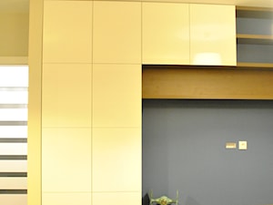 Ścianka telewizyjna, meblościanka :) - Salon, styl nowoczesny - zdjęcie od Sysło-Projekt