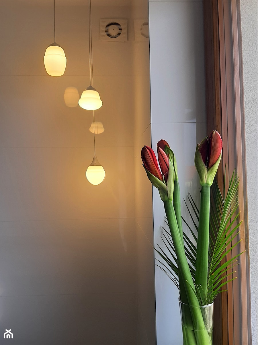 Lampy i kwiaty w łazience - zdjęcie od "Wnętrza" Alicja Galewska