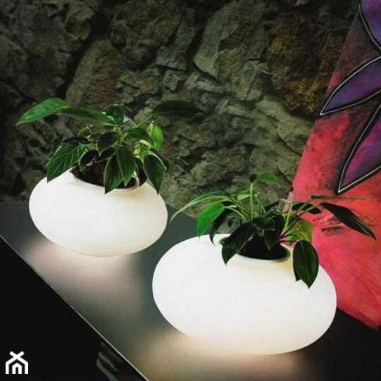 Lampa stołowa FLORA - zdjęcie od =mlamp.pl= | rozświetlamy wnętrza - Homebook