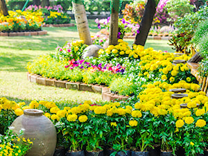 Ogród, styl tradycyjny - zdjęcie od homebook-adv