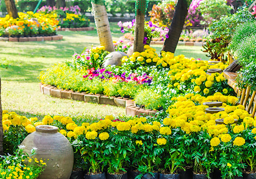 Ogród, styl tradycyjny - zdjęcie od homebook-adv