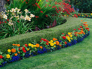 Ogród, styl nowoczesny - zdjęcie od homebook-adv