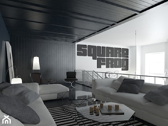 Studio_Square_Frog