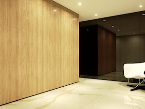 Projekt wnętrz domu - Hol / przedpokój, styl minimalistyczny - zdjęcie od CUDO STUDIO