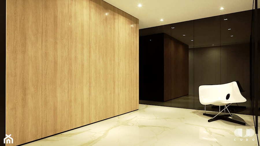 Projekt wnętrz domu - Hol / przedpokój, styl minimalistyczny - zdjęcie od CUDO STUDIO